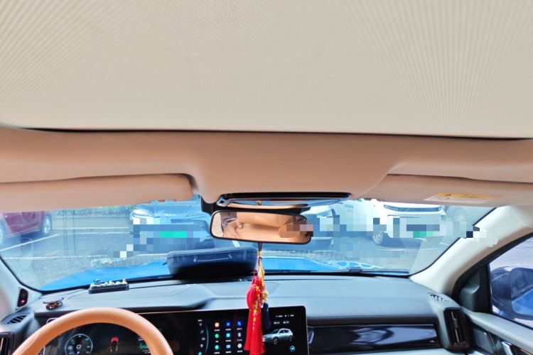 Used WM Motor W6 2021 520km PRO All-Round Edition
