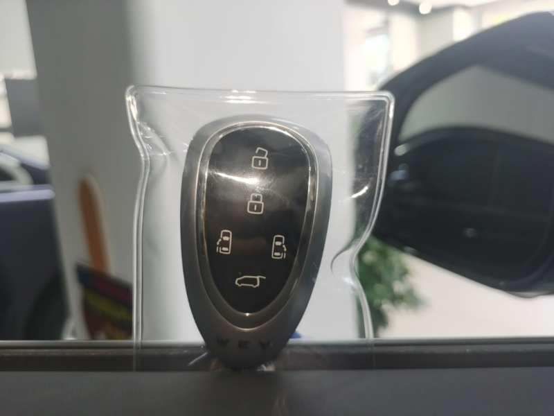 Used Wey Gaoshan 2025 Four-Wheel Drive Alpine 9 — 8