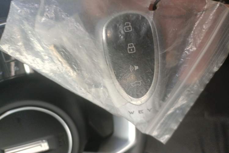 Used Wey Mocha New Energy 2024 Hi4 Four-Wheel Drive Long-Range Version