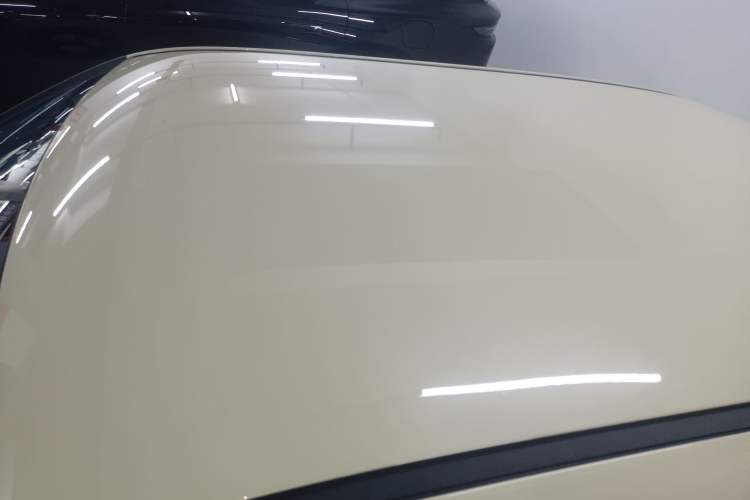 Used CHANGAN NEVO Lumin 2025 301km Honey Dew Edition Roof