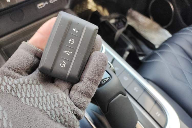 Used Tank 300 2024 2.0T Challenger