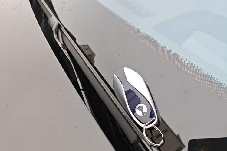 Used Denza N9 2025 Prestige Version
