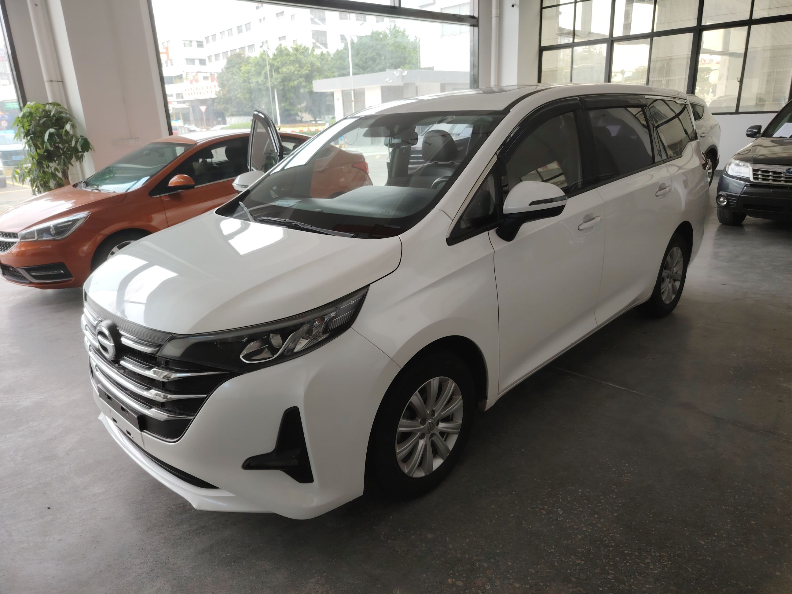 Parte inferior delantera