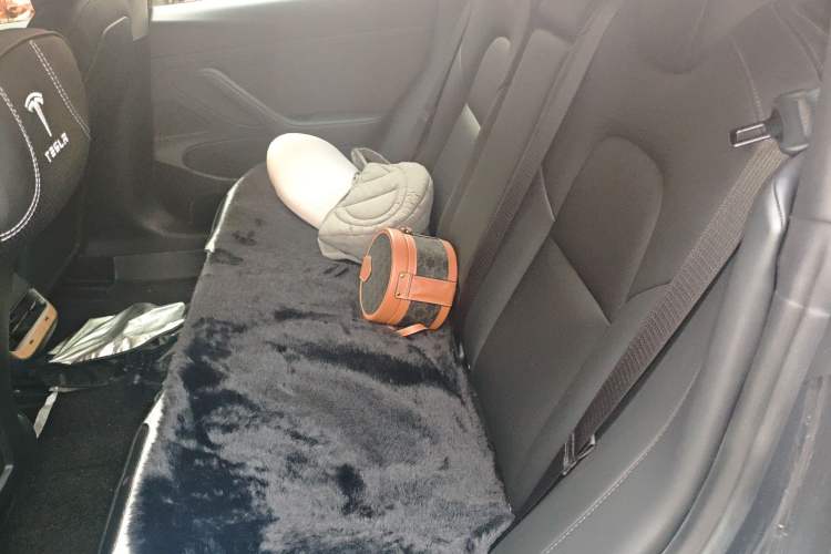 Used Tesla Model 3 2020 Revised Version Standard Range Rear-Wheel Drive – Upgraded Edition