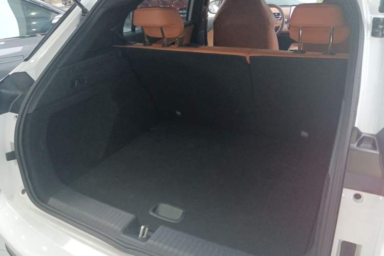 Used NETA X 2023 500