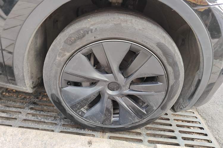 Used Tesla Model Y 2023 Rear-Wheel-Drive Version Exterior 7