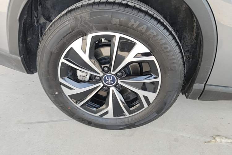 Used BYD Song Pro New Energy 2025 Second-Generation DM-i 115KM Overachiever Trim
