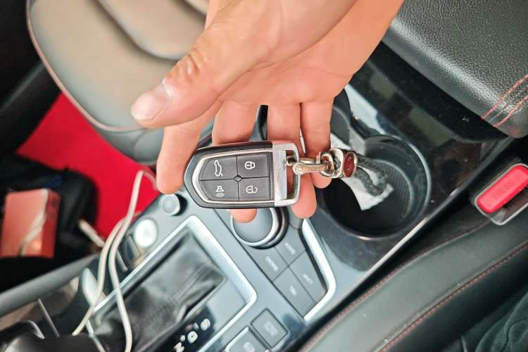 Used BORGWARD BX5 2020 20TGDI Automatic Two-Wheel Drive Pioneer Edition
