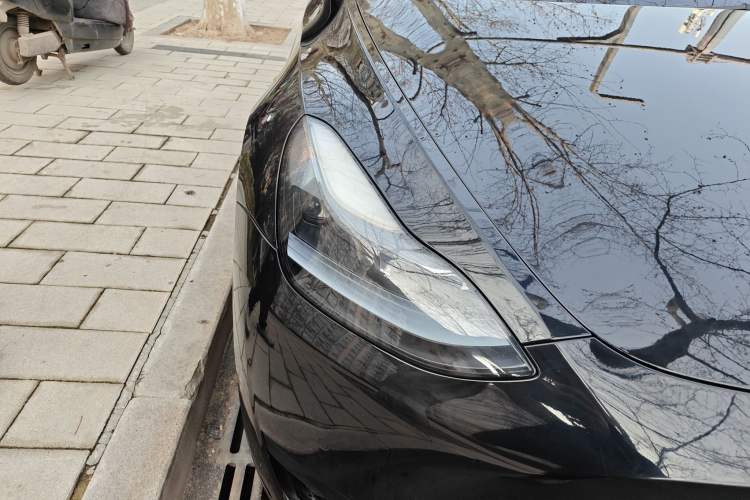 Used Tesla Model Y 2023 Rear-Wheel-Drive Version Exterior 6