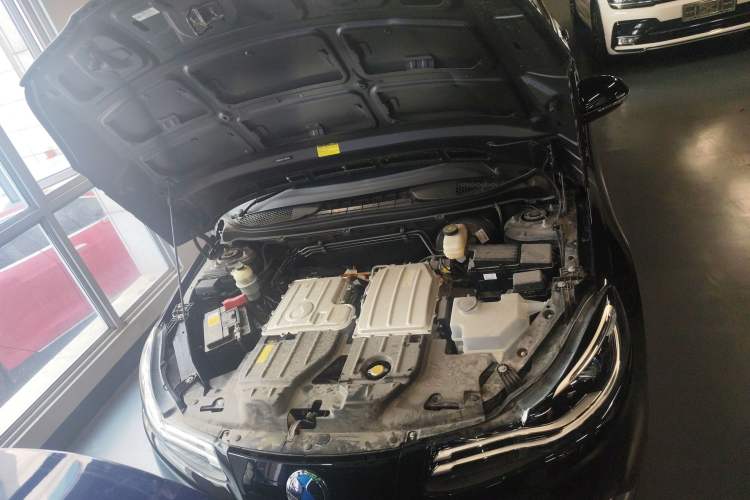 Used Denza 2018 450 Base Version
