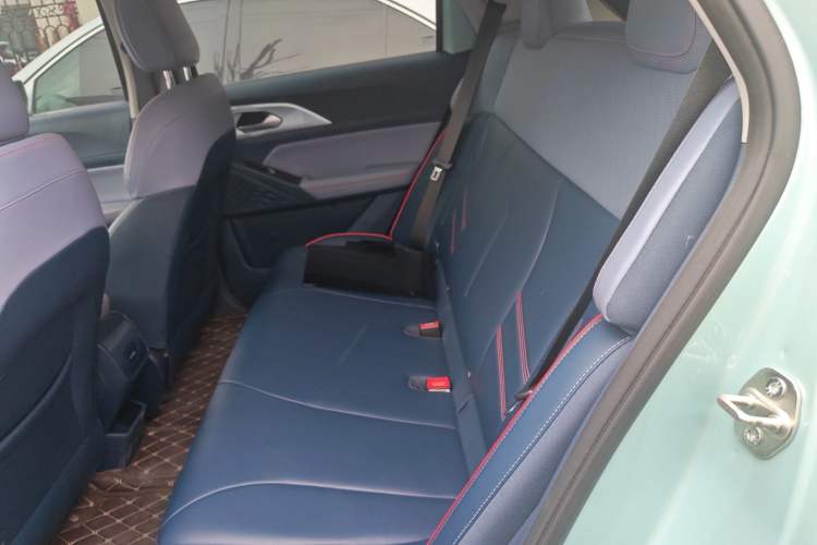 Used Geometry E Firefly 2022 401KM Lightning Tiger 4-Seater Left Rear Seat