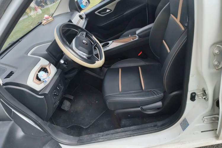 Used SOL E10X 2022 Flower Fairy Design Four-Leaf Clover Left Front Seat