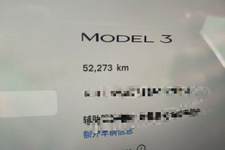 Used Tesla Model 3 2022 Rear-Wheel-Drive Version