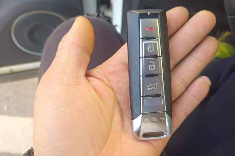 Used Wey VV5 2020 1.5T Two-Wheel Drive Color Pioneer
