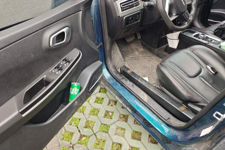 Used Dayun Yuehu 2021 32.85 kWh Two-Wheel-Drive Sprite Version Driver Seat