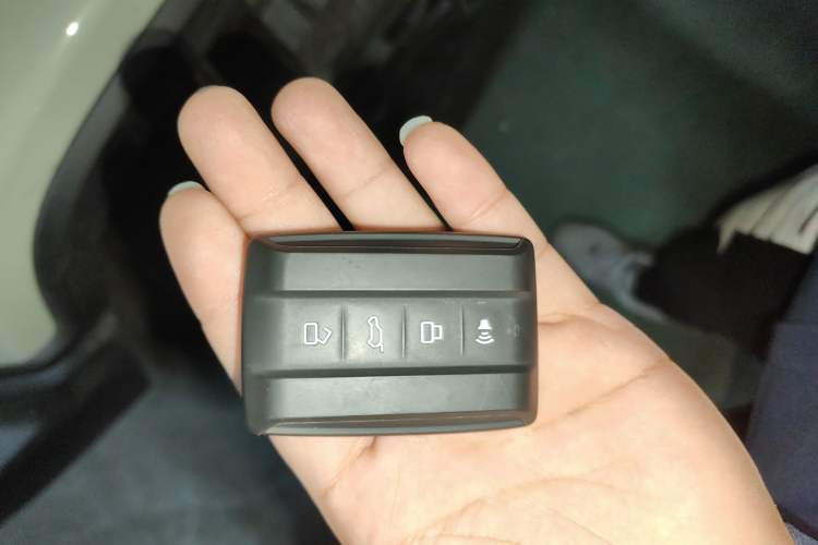 Used Tank 300 2024 2.0T Crosser
