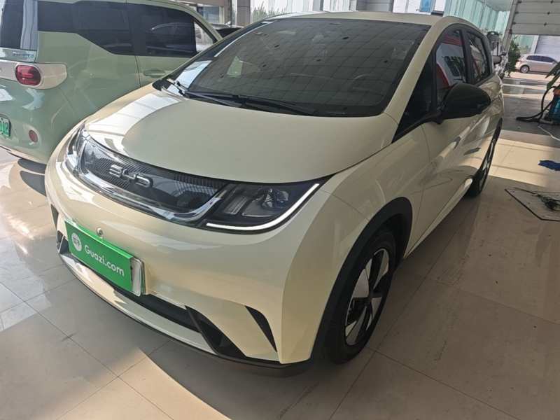 Used BYD Dolphin 2023 420 km Free Version — 1