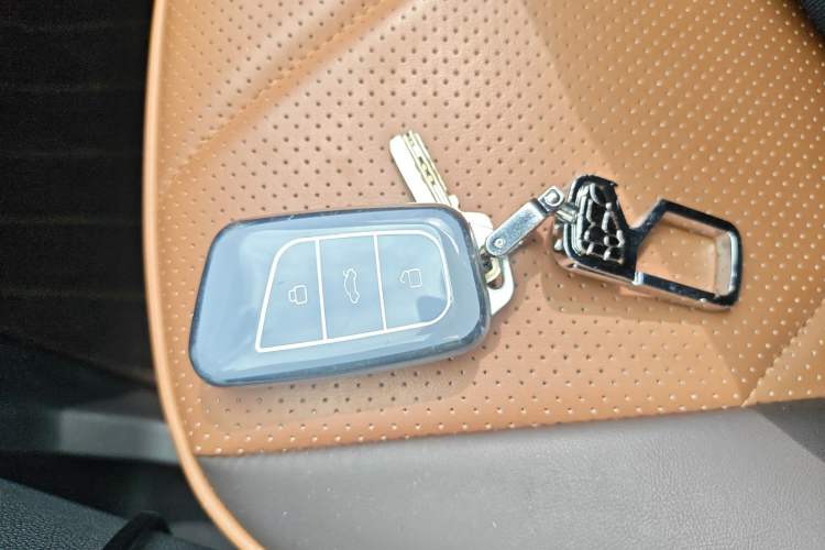 Used Chery Little Ant 2023 251km True Love Edition Lithium Iron Phosphate