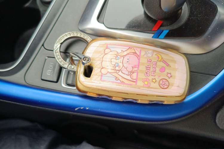 Used BMW 3 Series 2016 316Li Fashion Model Vehicle Key