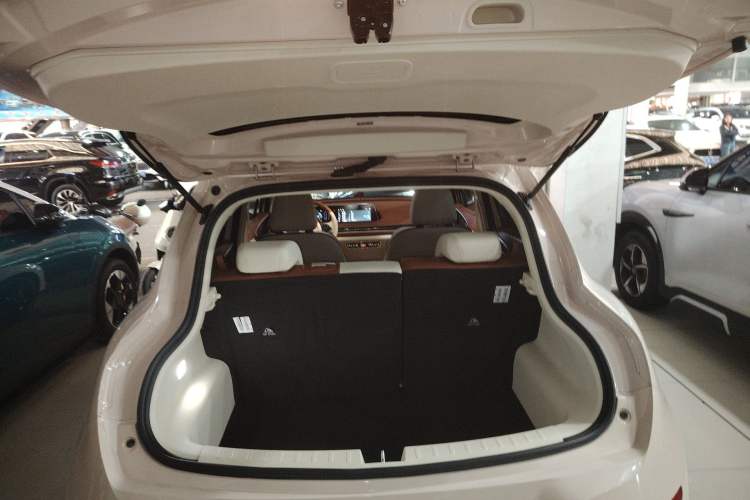 Used ORA Good Cat 2024 401 km Luxury Version Trunk