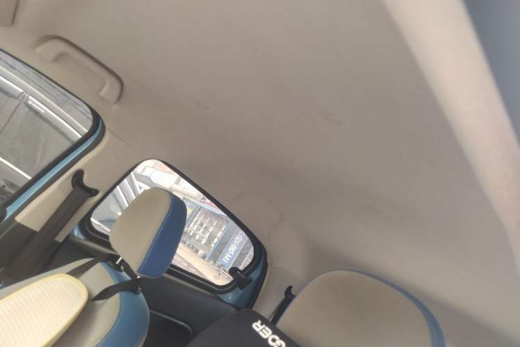 Used ORA Black Cat 2019 351 km Fun Edition Headliner