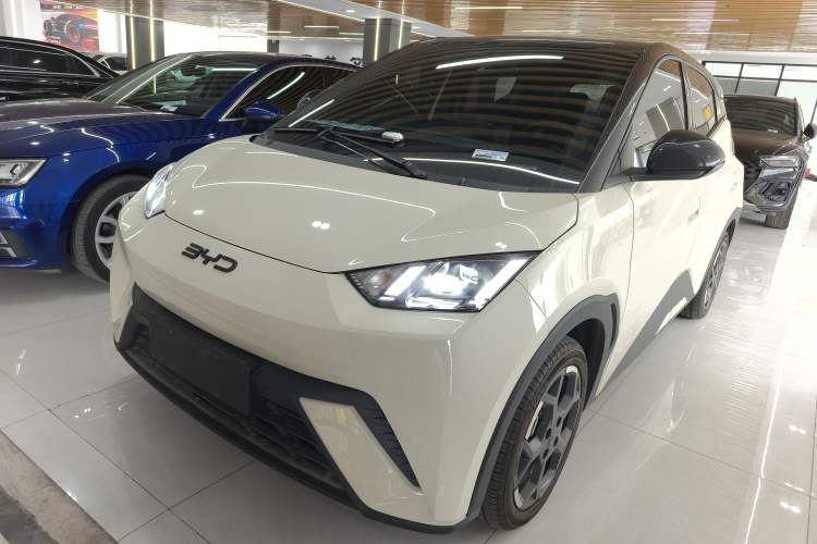 Used BYD Seagull 2025 305 km Free Version