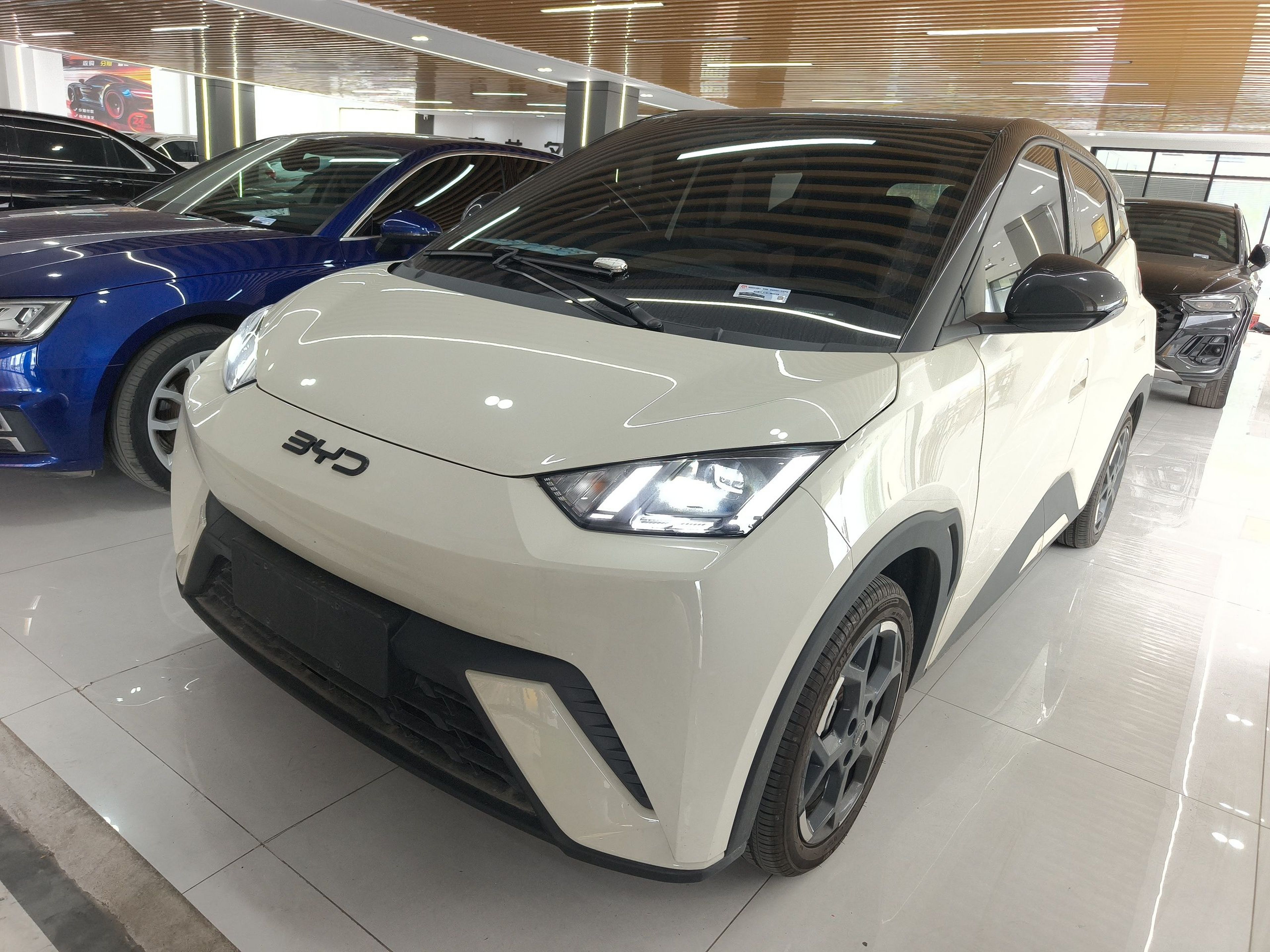 Parte inferior delantera