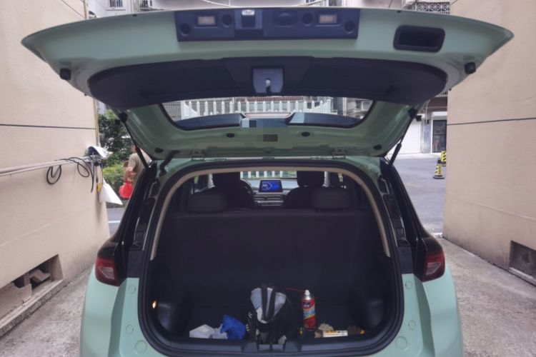 Used Dayun Yuehu 2022 300 Standard Edition Trunk