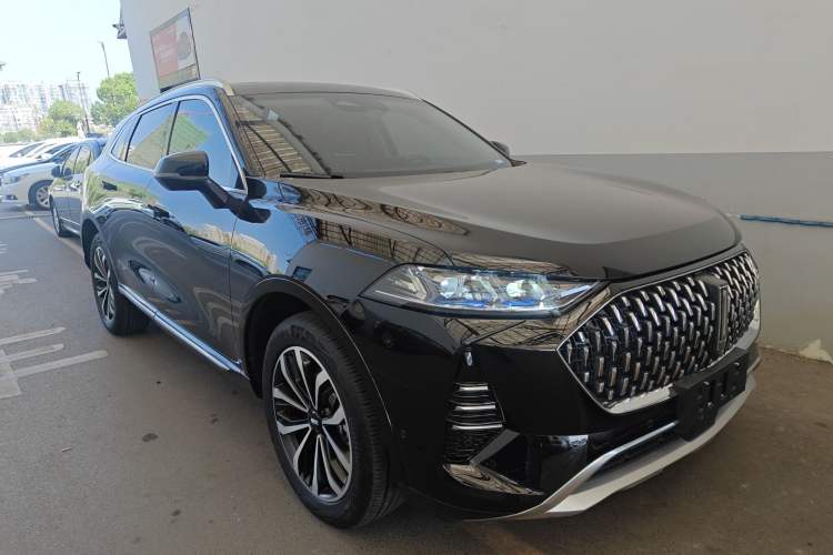 Used Wey Mocha 2021 2.0T Four-Wheel Drive Premium Edition
