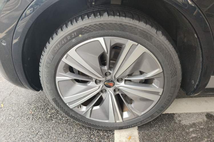 Used Hongqi E-HS9 2021 460 km Range Flagship Edition Six-Seater