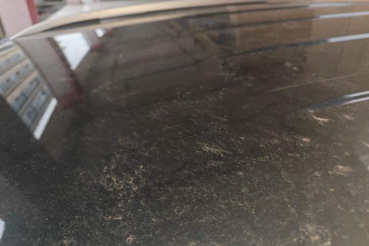 Used FORTHING T5 2022 Mach Edition 1.5T DCT High-Performance Five-Seater