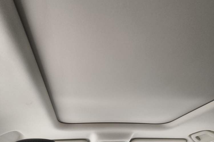 Used Haval Raptor 2025 2.0T 4WD Pro Headliner