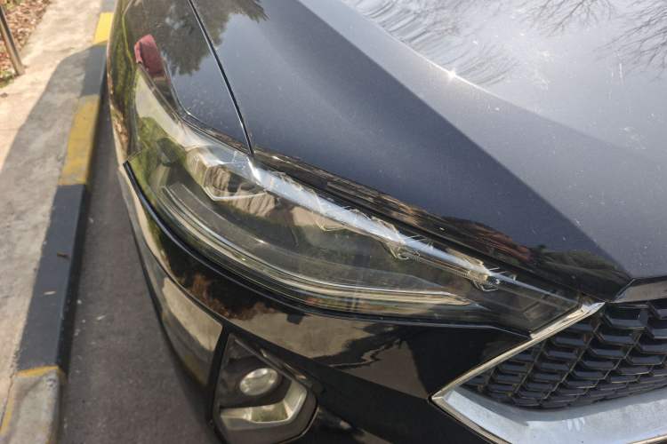 Used Haval F7 2019 2.0T Four-Wheel Drive iJoy China V Standard