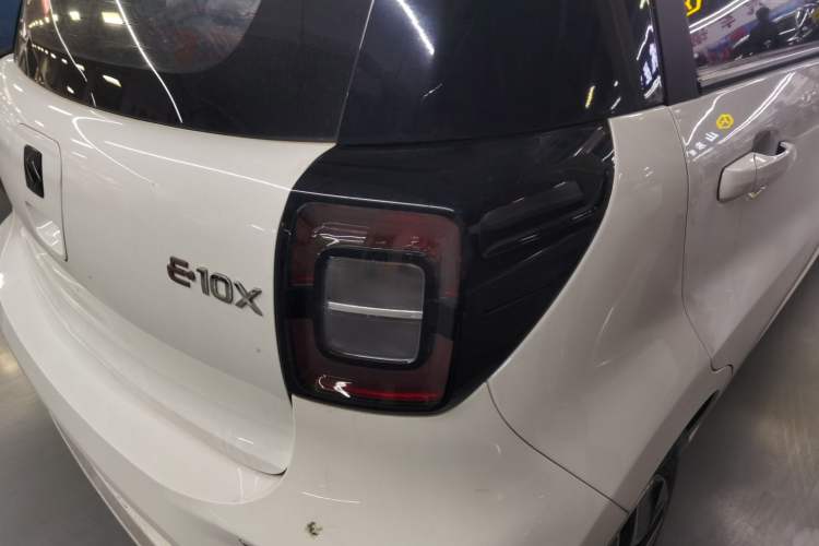 Used SOL E10X 2022 Flower Fairy Design Four-Leaf Clover
