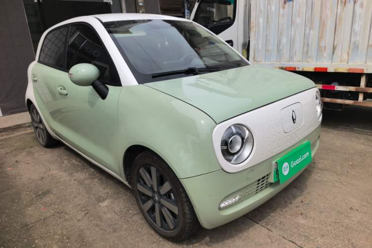 Used ORA Black Cat 2022 351 km Standard Version Ternary Lithium
