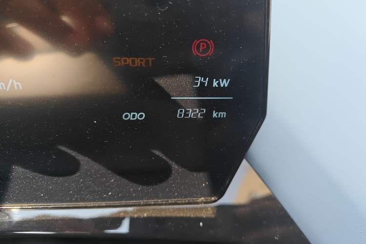 Used Chery QQ Little Ant 2024 Refreshed Version Youth Edition 321 km Beloved Edition 29.23 kWh Odometer Close Up