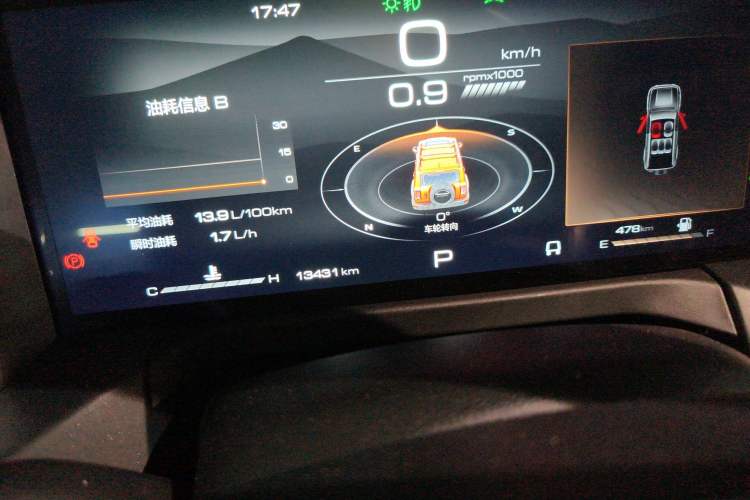 Used Tank 300 2024 2.0T Conqueror
