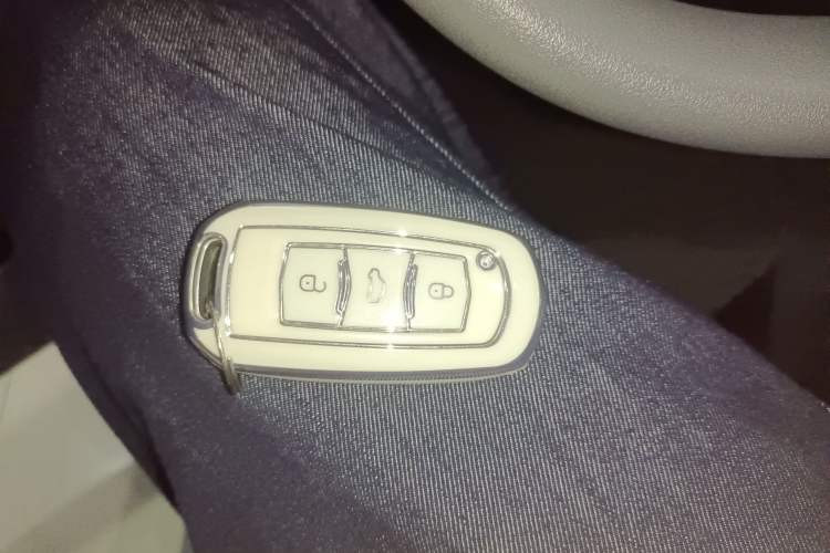 Used Geely Galaxy Panda 2024 200km Panda Kart Vehicle Key