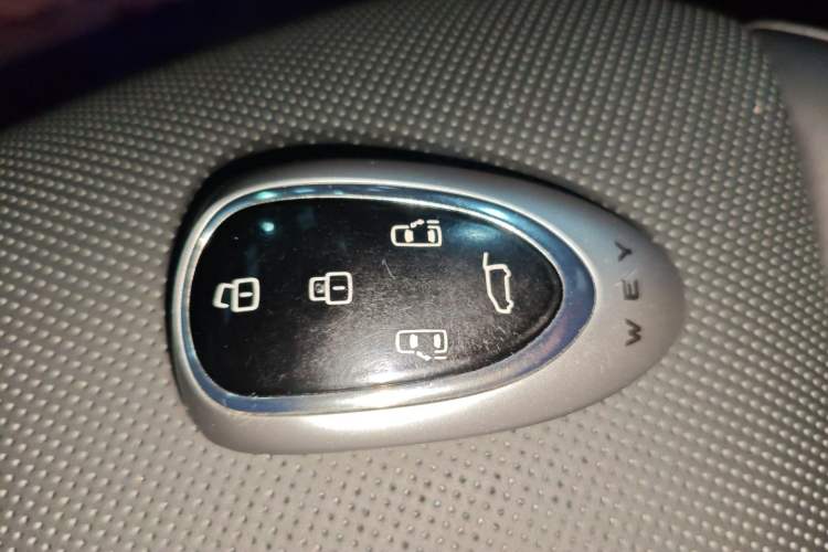 Used Wey Gaoshan 2023 Four-Wheel Drive Flagship Edition
