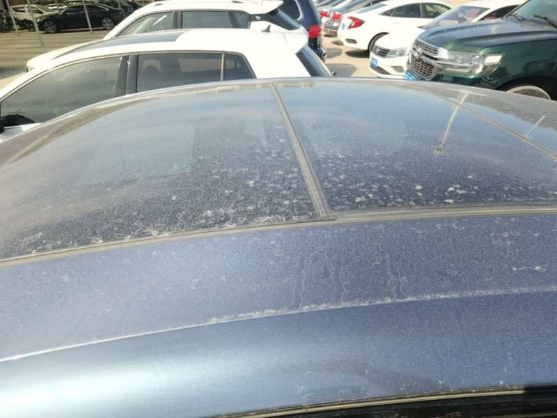 Used BYD Seal 2023 DM-i 1.5L 121km Prestige Model — 26