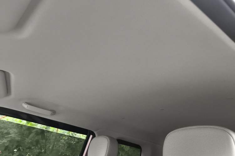 Used Qiyuan Lumin 2023 301km Honey Dew Edition
