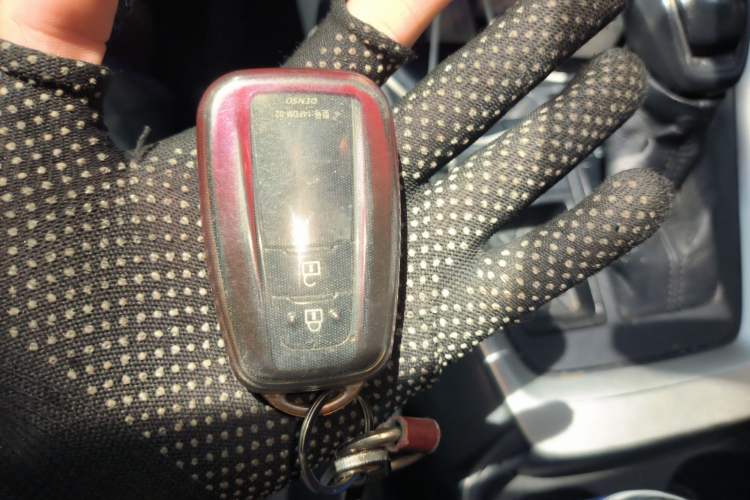 Used Toyota Wildlander 2021 2.0L CVT Two-Wheel Drive Luxury Edition