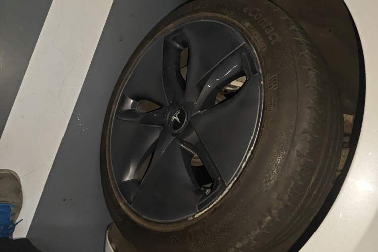 Used Tesla Model 3 2019 Standard Range Rear-Wheel Drive Upgraded Version (52 kWh)