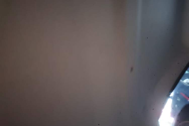 Used SOL E10X 2022 Flower Fairy Design Four-Leaf Clover