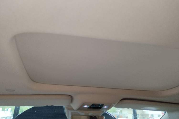 Used Denza D9 2024 DM-i 980 Four-Wheel Drive Prestige Model Headliner