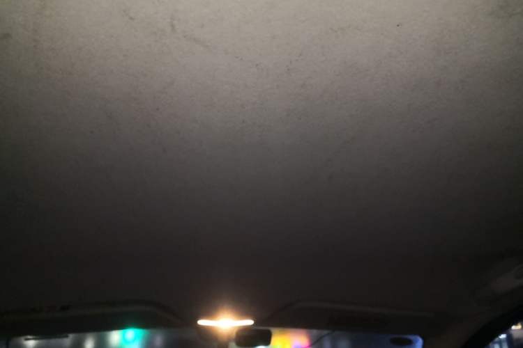 Used Chery New Energy eQ 2015 Luxury Model Headliner