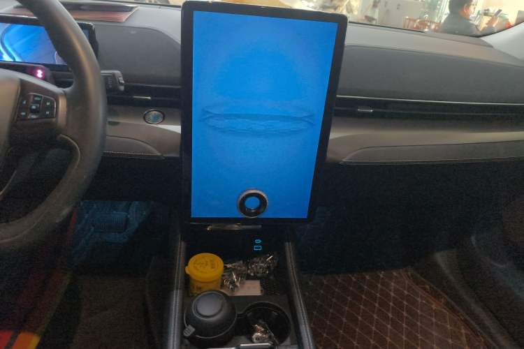 Used Ford Mustang Mach-E 2021 Leap Edition Rear-Drive Version (Standard Range)
