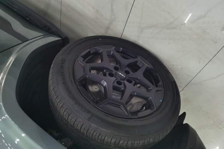 Used Formula Leopard Tai 7 2025 Model 190 km Four-Wheel Drive Ultra Edition