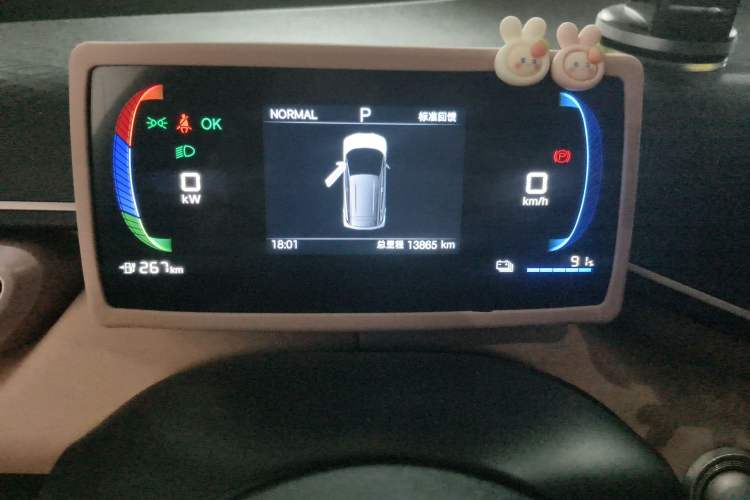 Used BYD Seagull 2025 305 km Free Version
