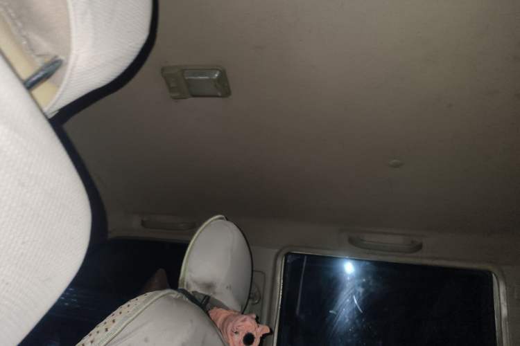 Used Foday Lion F16 2013 2.0T Diesel Two-Wheel Drive Entry-Level 4F20TC1 Headliner